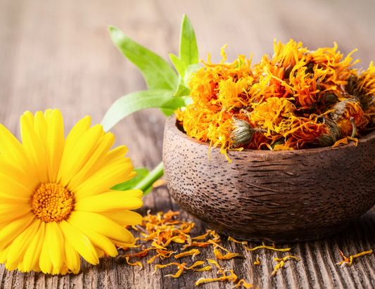 Calendula Flowers